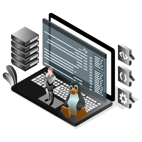 Linux Server Management Services